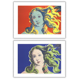 Bundle- 2 Assorted Warhol Venus Posters