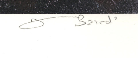 DWIGHT BAIRD Laundry on the Balcony, 2005 - Signed