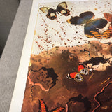 SALVADOR DALI Auvergne, 1970