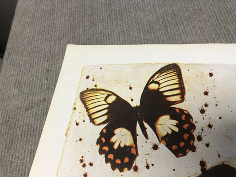 SALVADOR DALI Auvergne, 1970