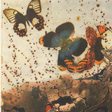 SALVADOR DALI Auvergne, 1970