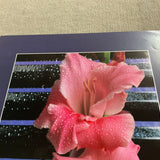 JAMES CORDES Gladiolus, 1983