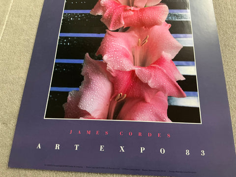 JAMES CORDES Gladiolus, 1983