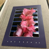 JAMES CORDES Gladiolus, 1983
