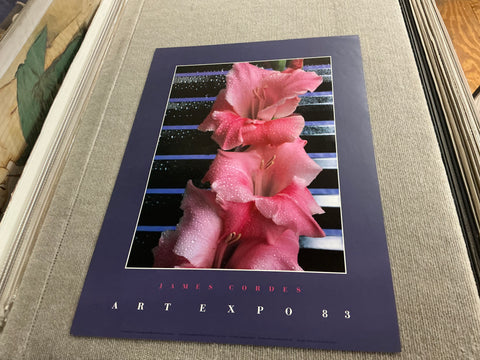 JAMES CORDES Gladiolus, 1983