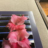 JAMES CORDES Gladiolus, 1983