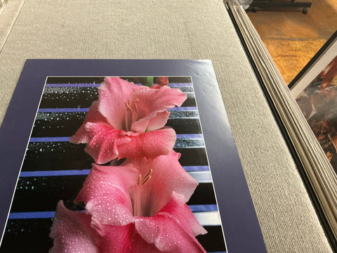 JAMES CORDES Gladiolus, 1983