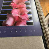 JAMES CORDES Gladiolus, 1983