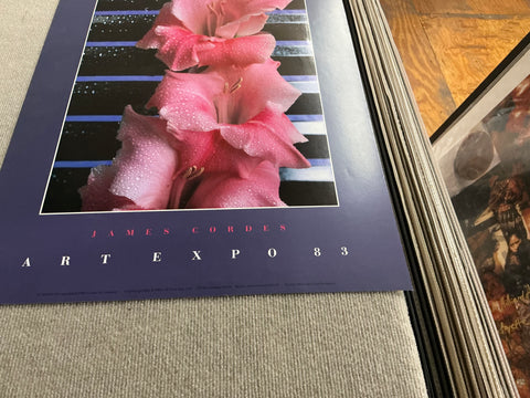 JAMES CORDES Gladiolus, 1983