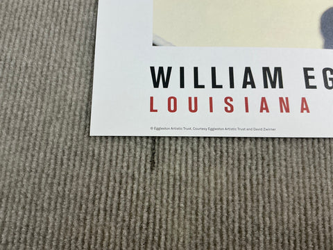 WILLIAM EGGLESTON Drink, 2018