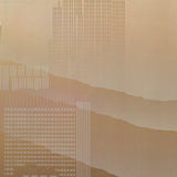RICHARD DAVIES Empire State Building, 1981