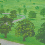 DAVID HOCKNEY Green Valley, 2008