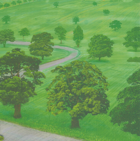 DAVID HOCKNEY Green Valley, 2008