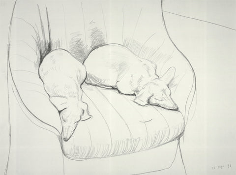 DAVID HOCKNEY Stanley & Boodge, 1993