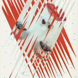 JAMES ROSENQUIST XIV Olympic Winter Games, 1984