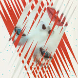 JAMES ROSENQUIST XIV Olympic Winter Games, 1984