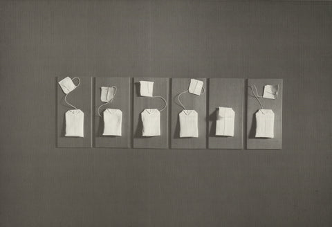 JUD NELSON Holos, 1977