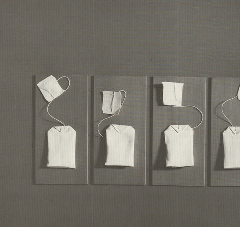 JUD NELSON Holos, 1977