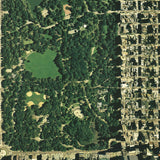 JENNY LEIGH THOMPSON Central Park, 2002