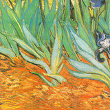 VINCENT VAN GOGH Irises