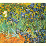 VINCENT VAN GOGH Irises