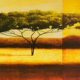 LAZLO EMMERICH Kenya, 2009