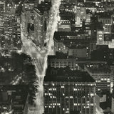 HENRI SILBERMAN World Trade Center from the Empire State Building, 1999
