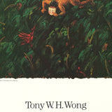 TONY W. H. WONG Enchantment, 1985
