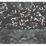 GERHARD RICHTER Vogel(1964), 2026