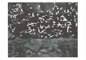 GERHARD RICHTER Vogel(1964), 2026