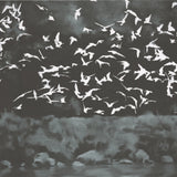 GERHARD RICHTER Vogel(1964), 2026