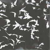 GERHARD RICHTER Vogel(1964), 2026