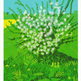DAVID HOCKNEY 30th April 2011 (The Arrival of Spring), ca. 2015- Framed, 2015