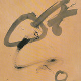 ANTONI TAPIES Roland Garros French Open, 2000