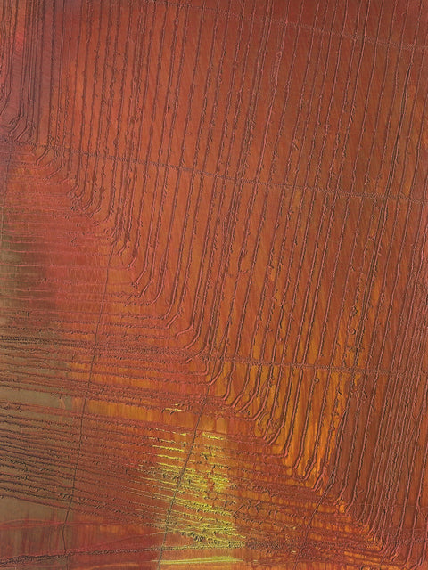 ARNULF RAINER Roland Garros French Open, 2008