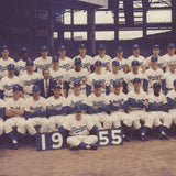 RUBIN PFEFFER The Brooklyn Dodgers 1955 World Champions, 1987