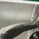 HERB RITTS Waterfall IV, 2002