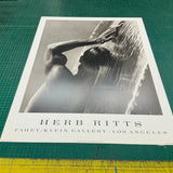 HERB RITTS Waterfall IV, 2002