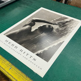 HERB RITTS Waterfall IV, 2002