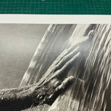 HERB RITTS Waterfall IV, 2002