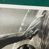 HERB RITTS Waterfall IV, 2002