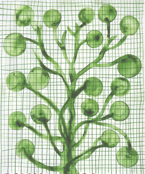 BARTHELEMY TOGUO Roland Garros French Open, 2011