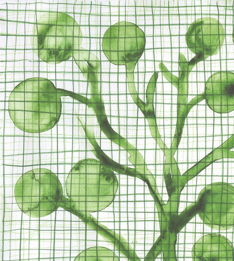 BARTHELEMY TOGUO Roland Garros French Open, 2011