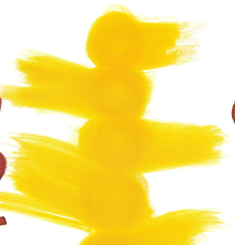 DAVID NASH Roland Garros French Open, 2013