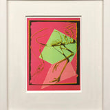 ANDY WARHOL Vanishing Animals: Whooping Crane, 1991