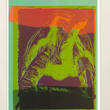 ANDY WARHOL Vanishing Animals: Galapagos Tortoise, 1991