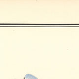 ALFRED DUMONT Skiff Acajou 1923, 1975