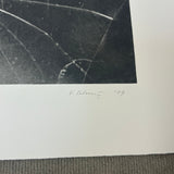 VIJA CELMINS Spider Web, 2009 - Signed