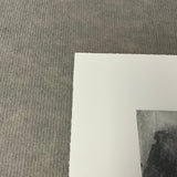 VIJA CELMINS Spider Web, 2009 - Signed