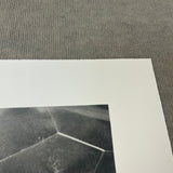 VIJA CELMINS Spider Web, 2009 - Signed